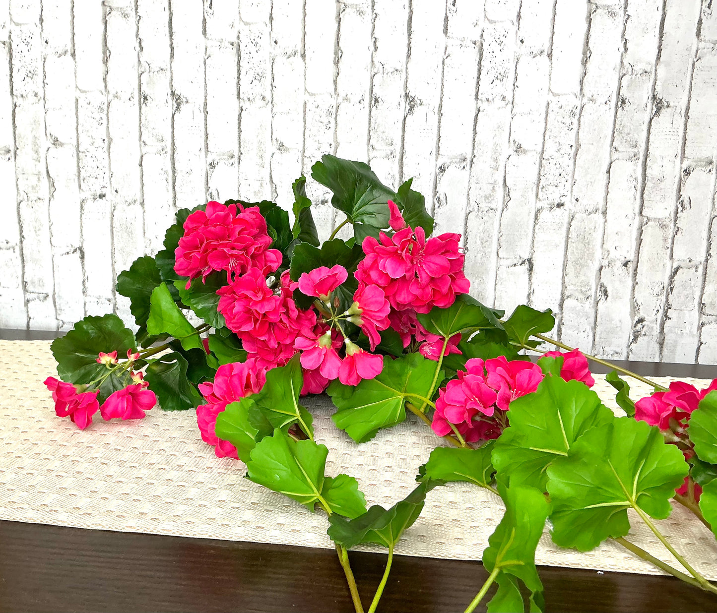 Just Cut Hanging Geranium Plant, MTF24298