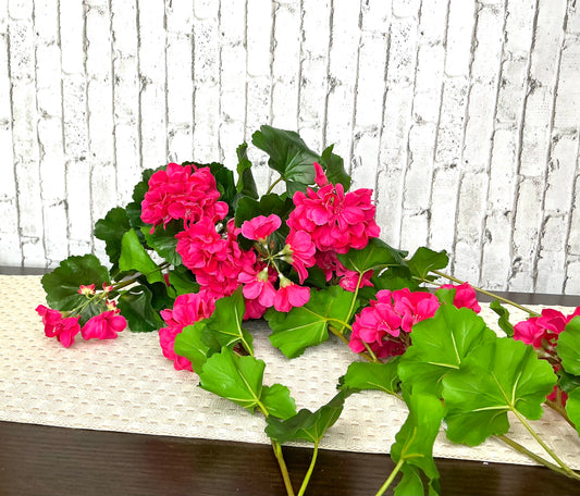 Just Cut Hanging Geranium Plant, MTF24298