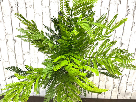Ostrich Fern Bush, 19”, MTF23557