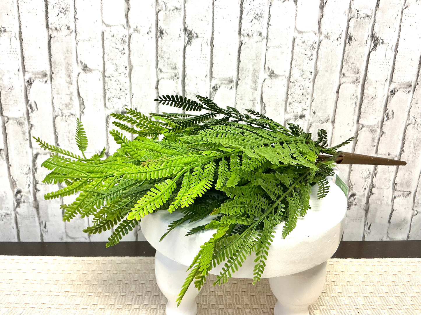 Ostrich Fern Bush, 19”, MTF23557