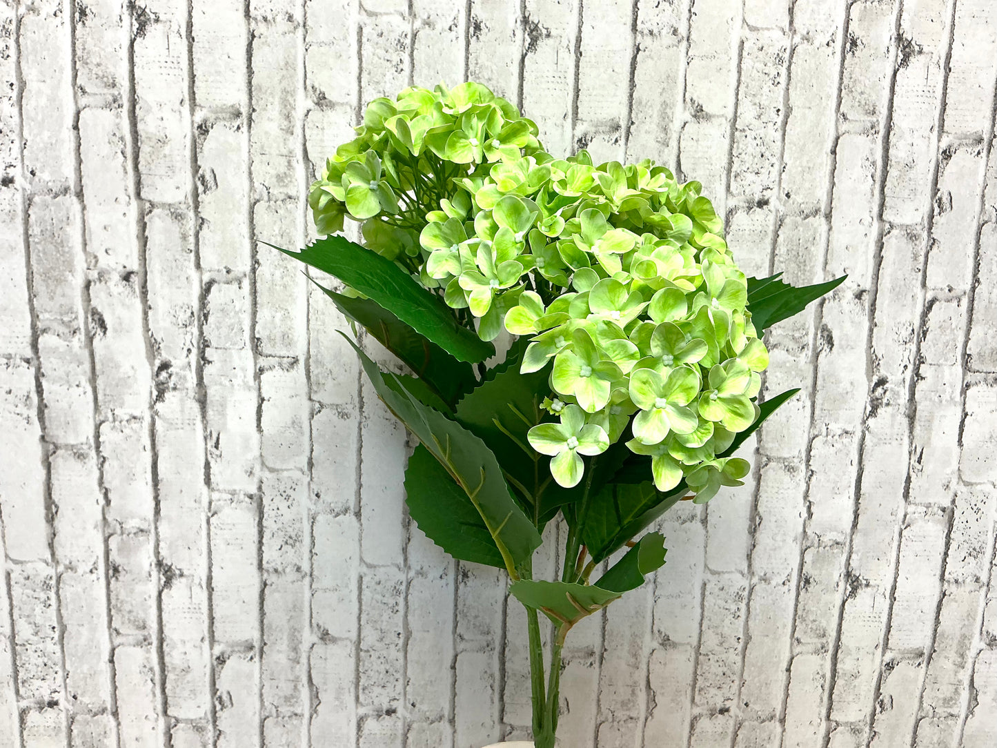 Green Hydrangea Bush, 22”, MTF24160