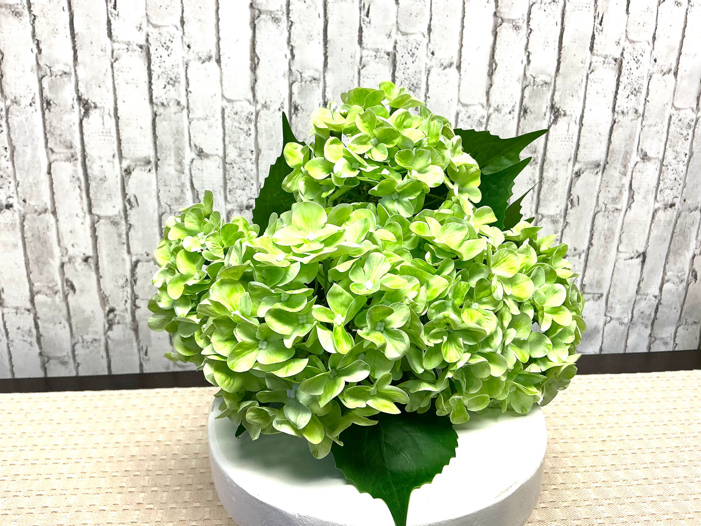 Green Hydrangea Bush, 22”, MTF24160