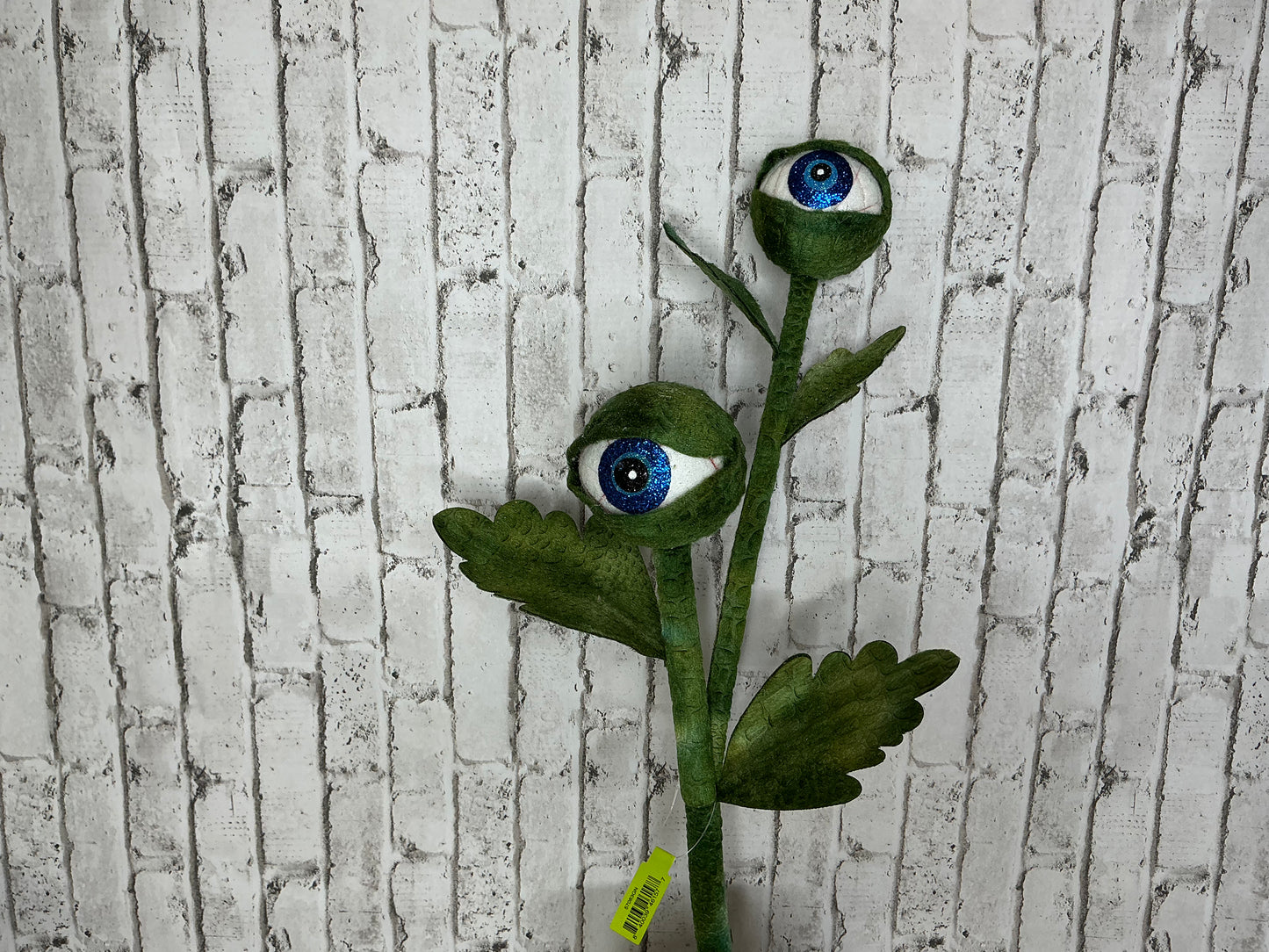 Eyeball plant, carnivorous plant, 57083GN