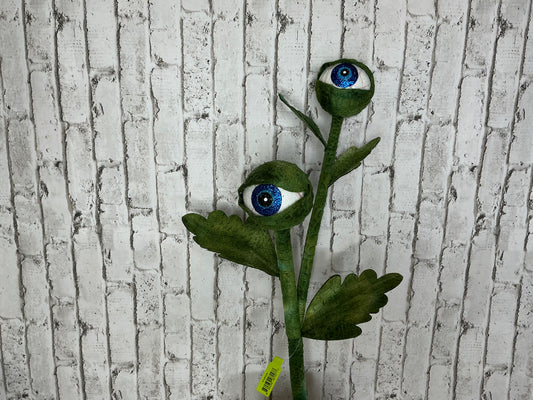 Eyeball plant, carnivorous plant, 57083GN