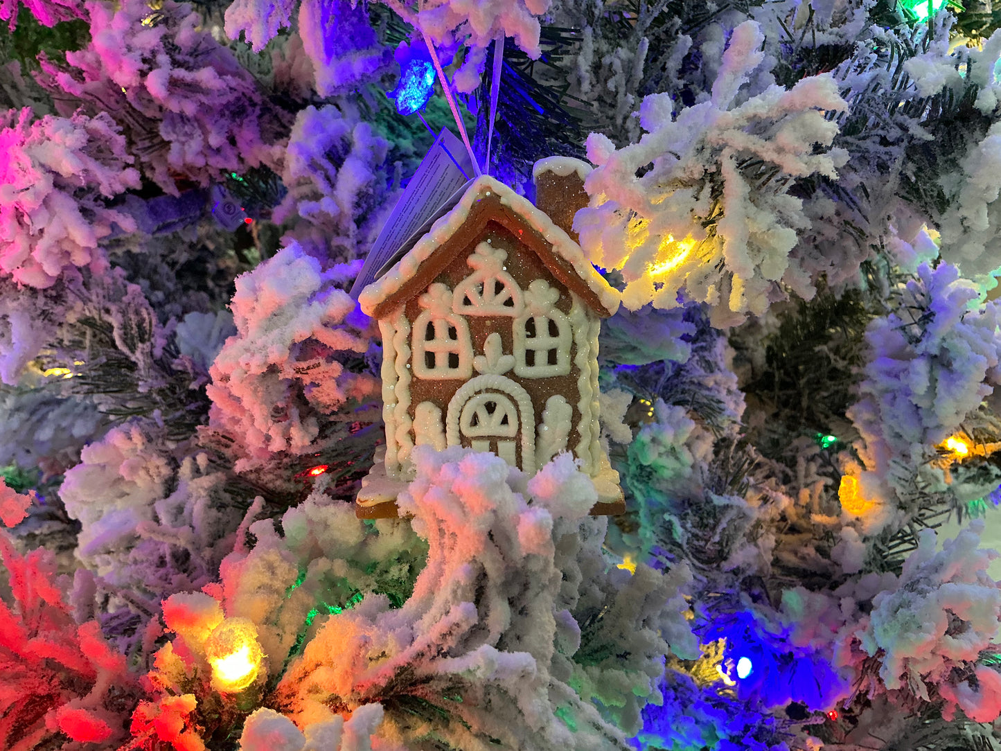 Gingerbread house w/1 chimney, 4416149