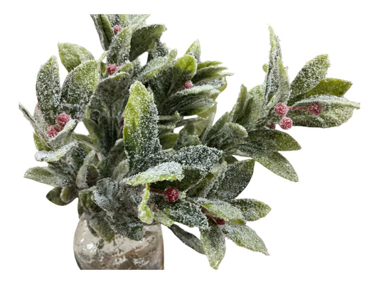 Berry leaves Bush, 84962FROST