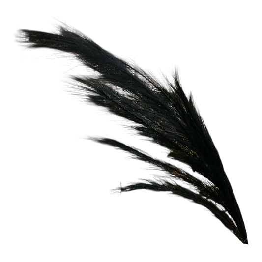 Black grass, FG601402