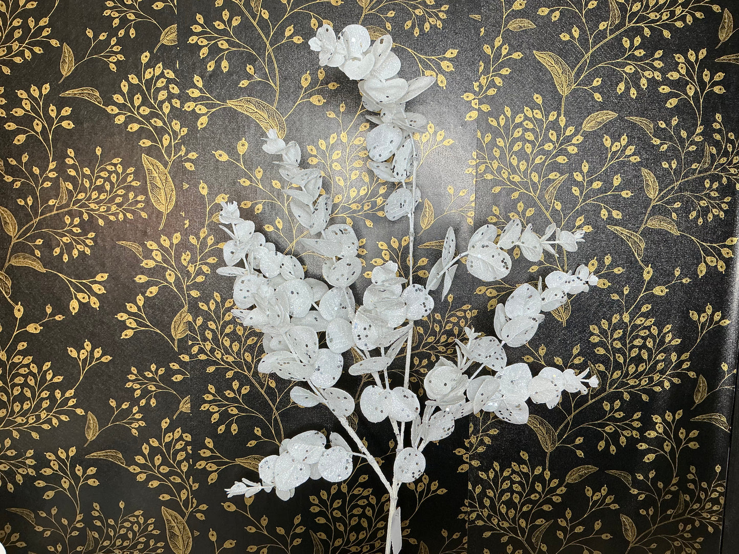 White Eucalyptus, XS2511C6