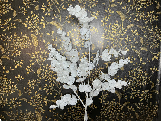 White Eucalyptus, XS2511C6