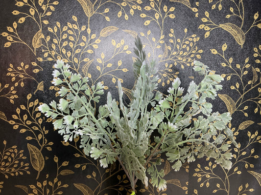 Maidenhair Fern pick, XP551116-063