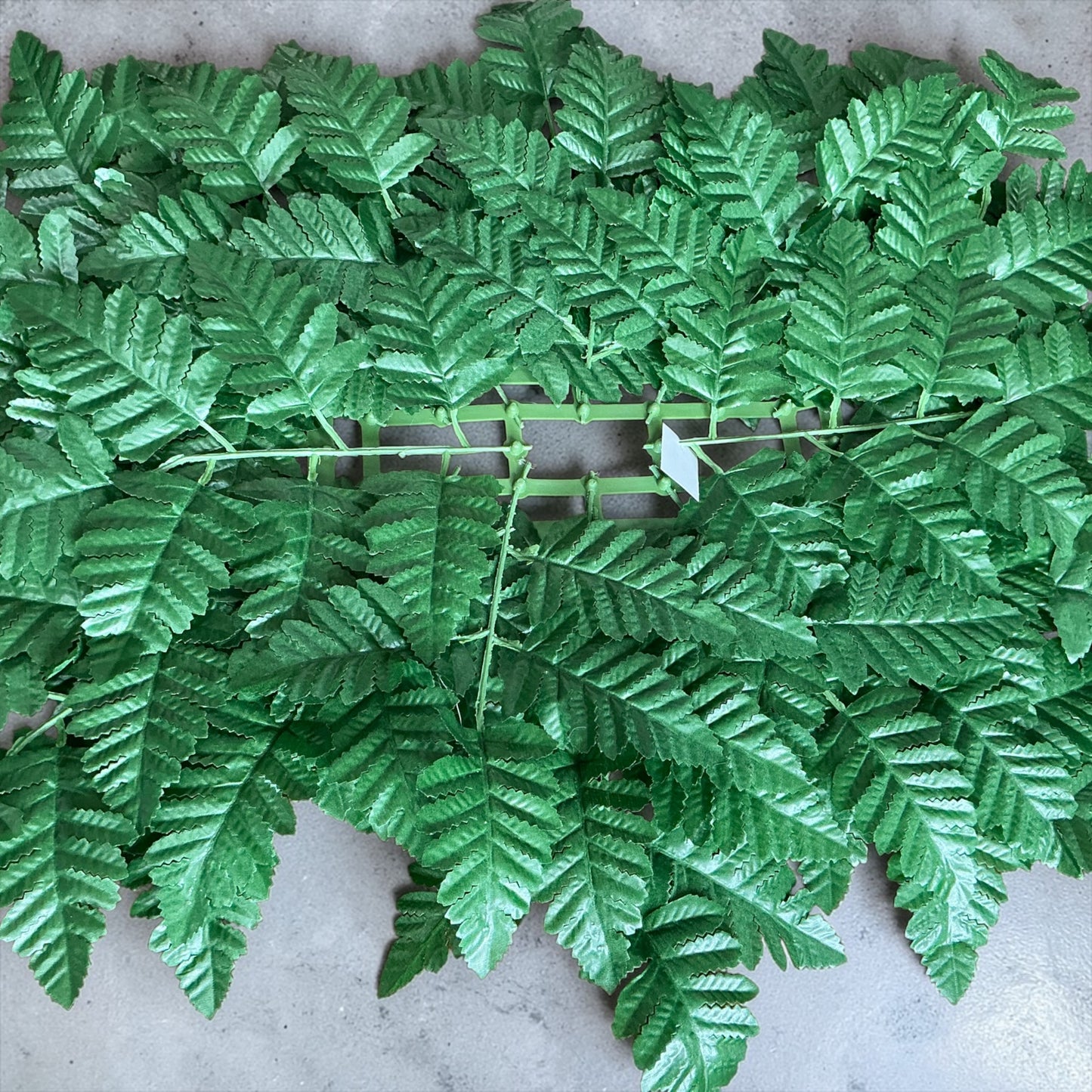 Leather Fern Mats - 85333
