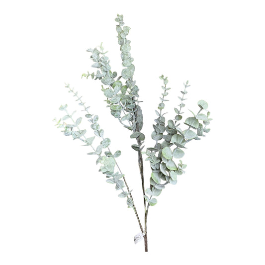 Eucalyptus Spray, 34”
