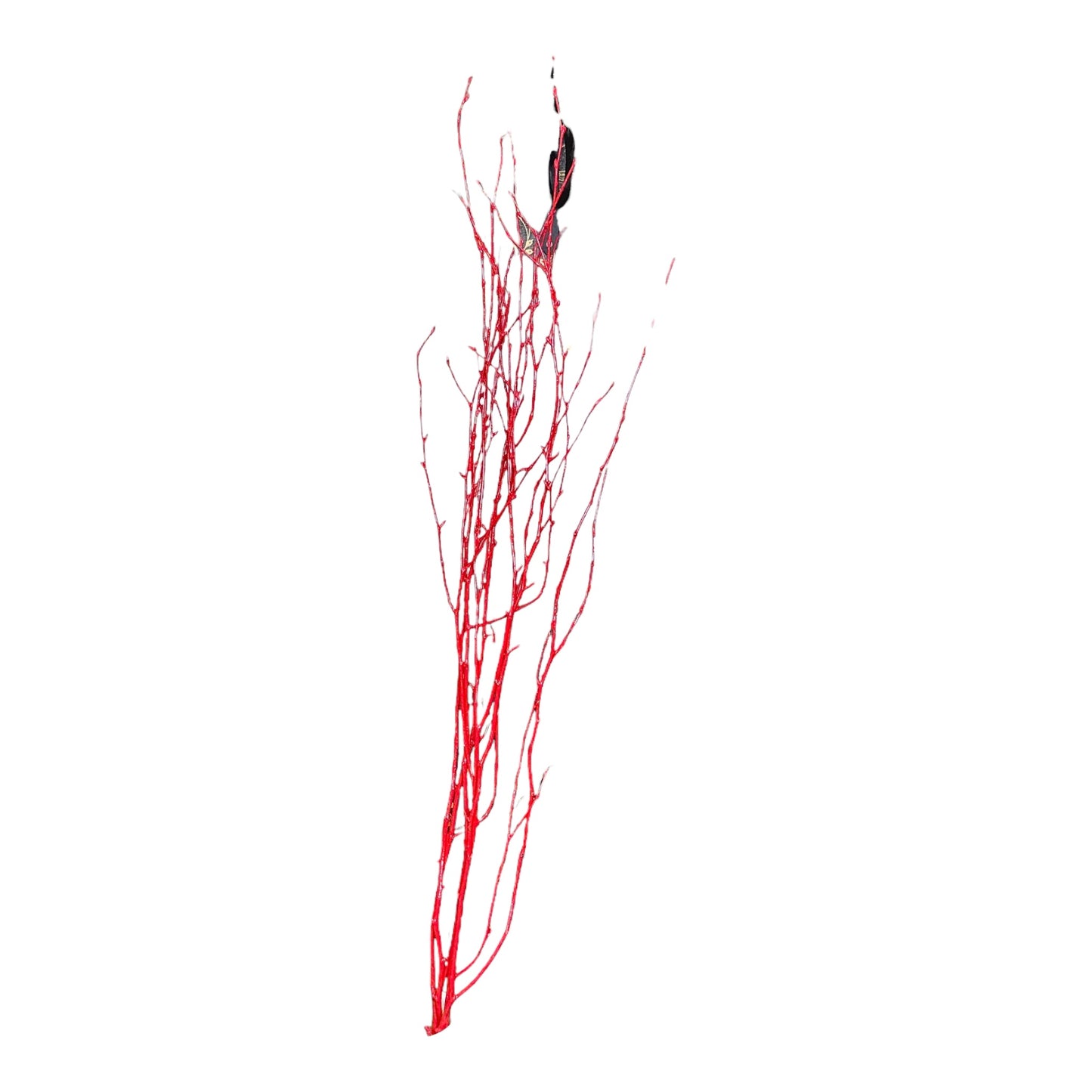 Red Birch Branches, Set of 4
