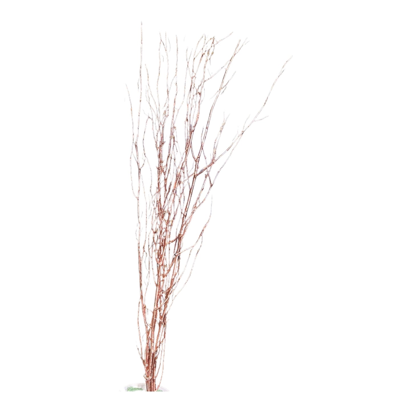 Copper Birch Branches, Set of 4