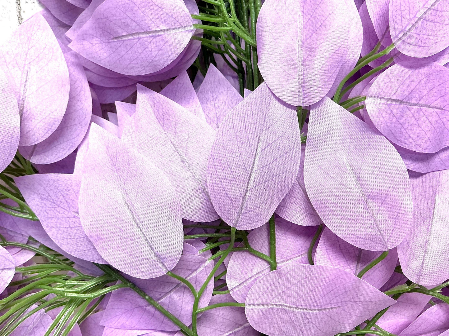 Lavender Ficus bundle, 23” L, FG633713, 12pc