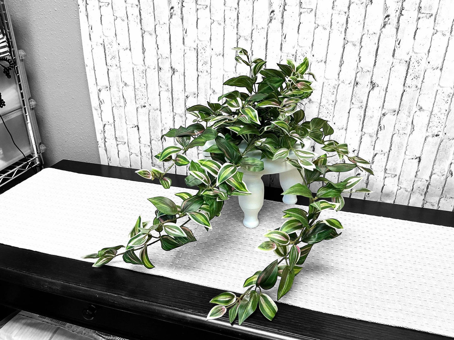 Hanging Tradescantia, MTF20623, pink variegated wondering Jew silk bush, variegated silk greenery bush, spring greenery.