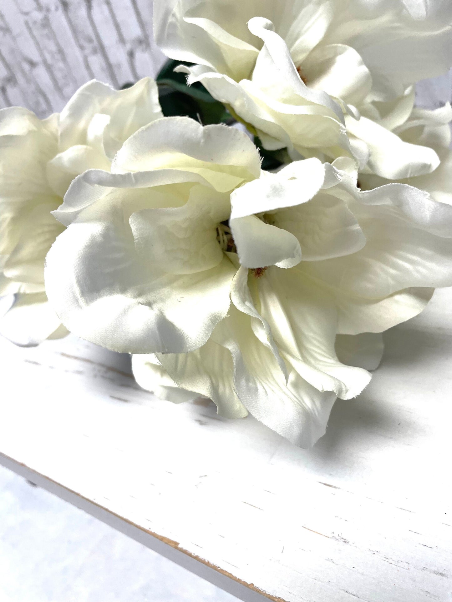 White silk magnolia bush, 30494CM