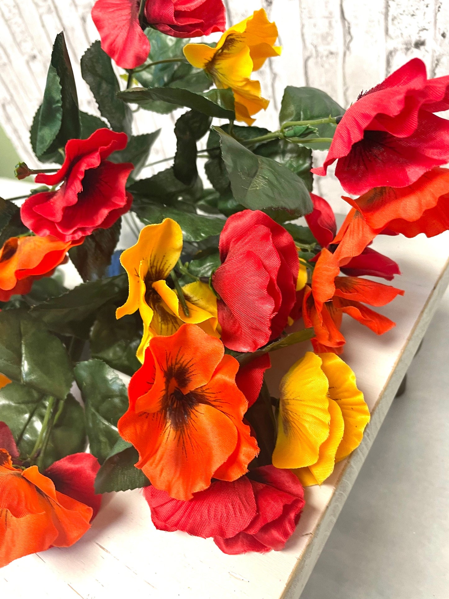 Satin pansy bush, 35103RDYWOR, orange pansy bush, pansy bush, fall pansy bush, spring bush, summer bush