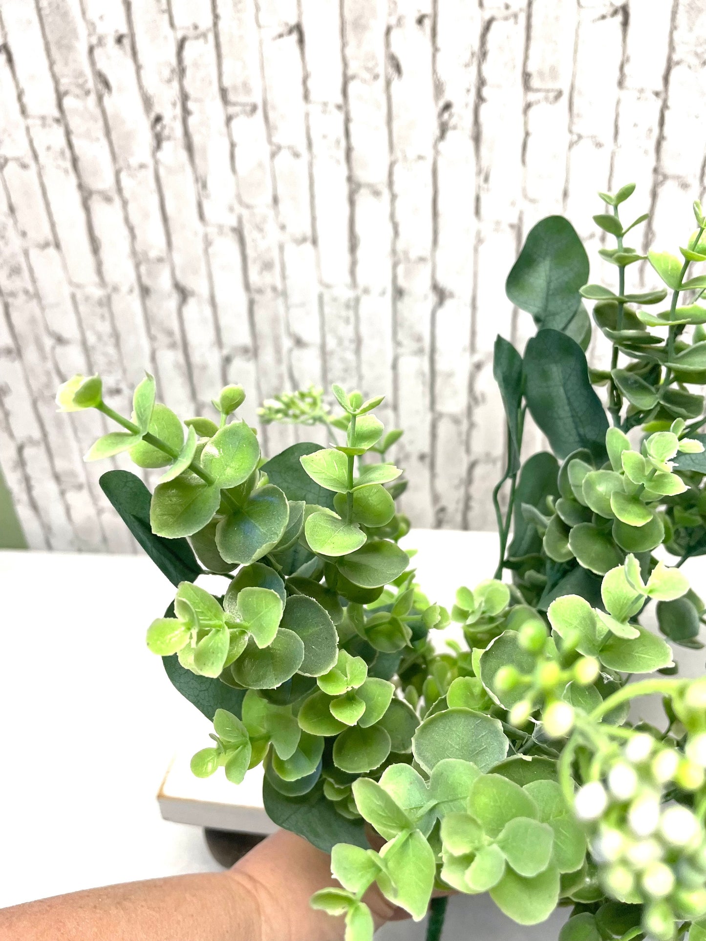 Eucalyptus bush, eucalyptus silver dollar bush, 13533BU20, greenery bush, spring greenery, summer greenery, everyday greenery