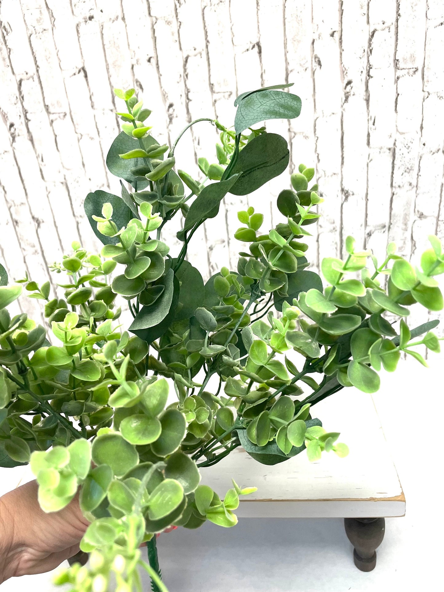 Eucalyptus bush, eucalyptus silver dollar bush, 13533BU20, greenery bush, spring greenery, summer greenery, everyday greenery